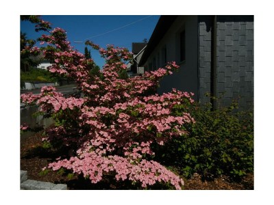 Apartment 4-Bettwohnung - Outdoor photo 14