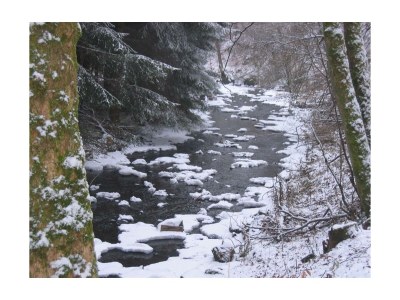 Apartment 4-Bettwohnung - Outdoor photo 17