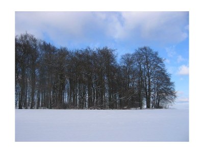 Apartment 4-Bettwohnung - Outdoor photo 18