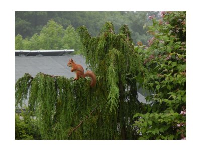 Apartment 4-Bettwohnung - Outdoor photo 21