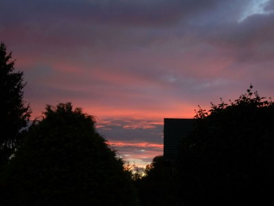 Apartment 4-Bettwohnung - Features photo 40