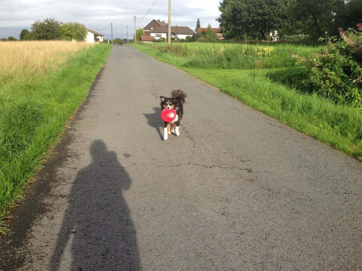 Apartment 2-Bettwohnung - Outdoor photo 3