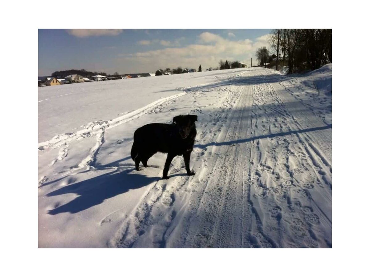 Apartment 2-Bettwohnung - Outdoor photo 5