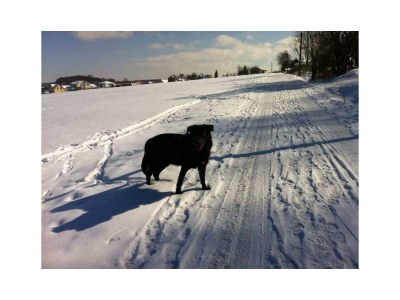 Apartment 2-Bettwohnung - Outdoor photo 5