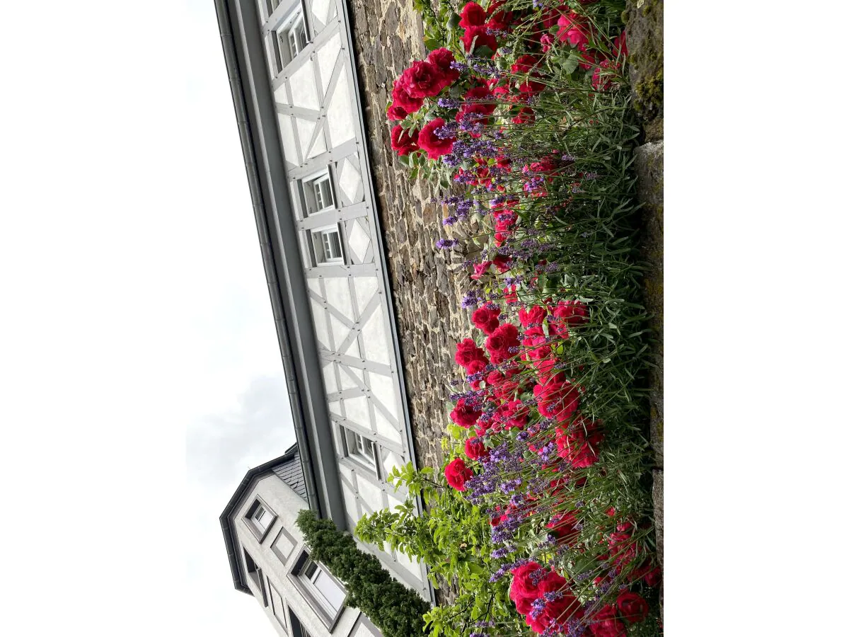 Apartment Appartement Rose - 2-Bettwohnung - Outdoor photo 5