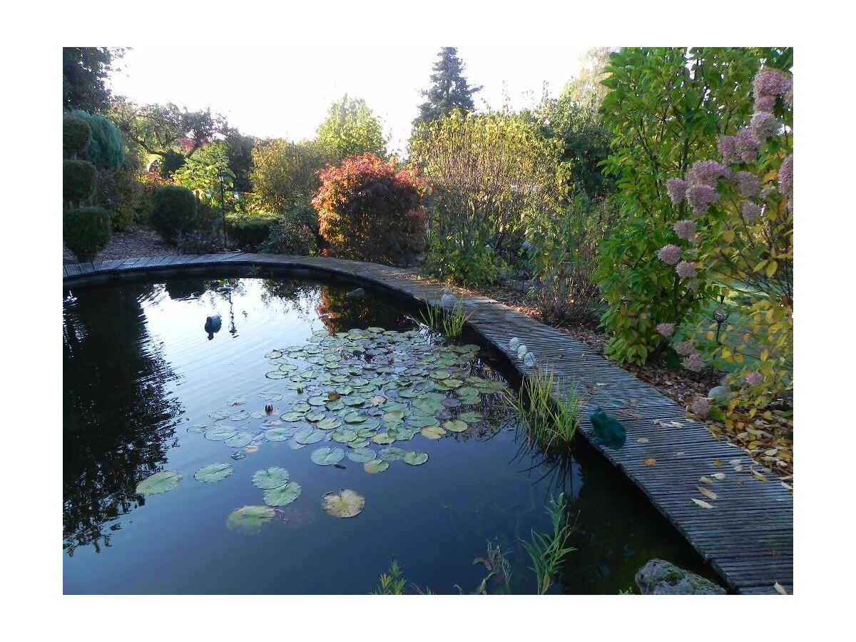 Apartment 2-Bettwohnung - Outdoor photo 3