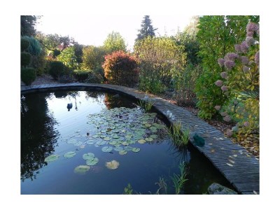 Apartment 2-Bettwohnung - Outdoor photo 3