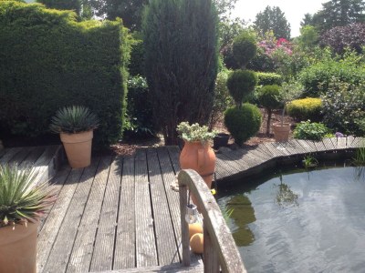 Apartment 2-Bettwohnung - Outdoor photo 4