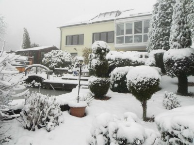 Apartment 2-Bettwohnung - Outdoor photo 18