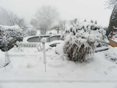 Apartment 2-Bettwohnung - Outdoor photo 19