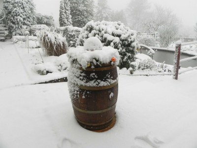 Apartment 2-Bettwohnung - Outdoor photo 20