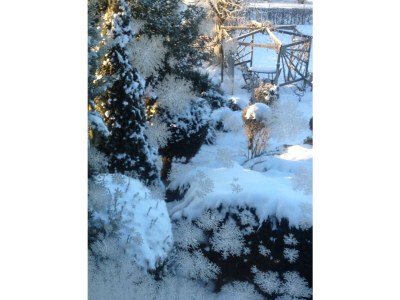 Apartment 2-Bettwohnung - Outdoor photo 37