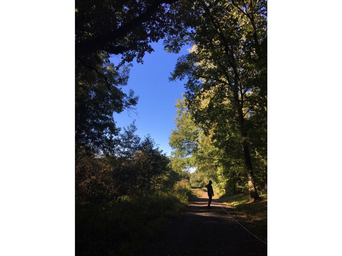 Apartment 2-Bettwohnung - Outdoor photo 3