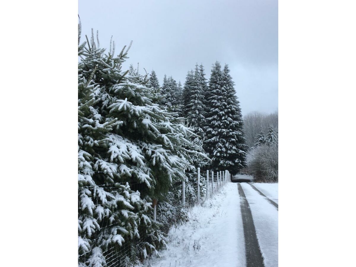 Apartment 2-Bettwohnung - Outdoor photo 4