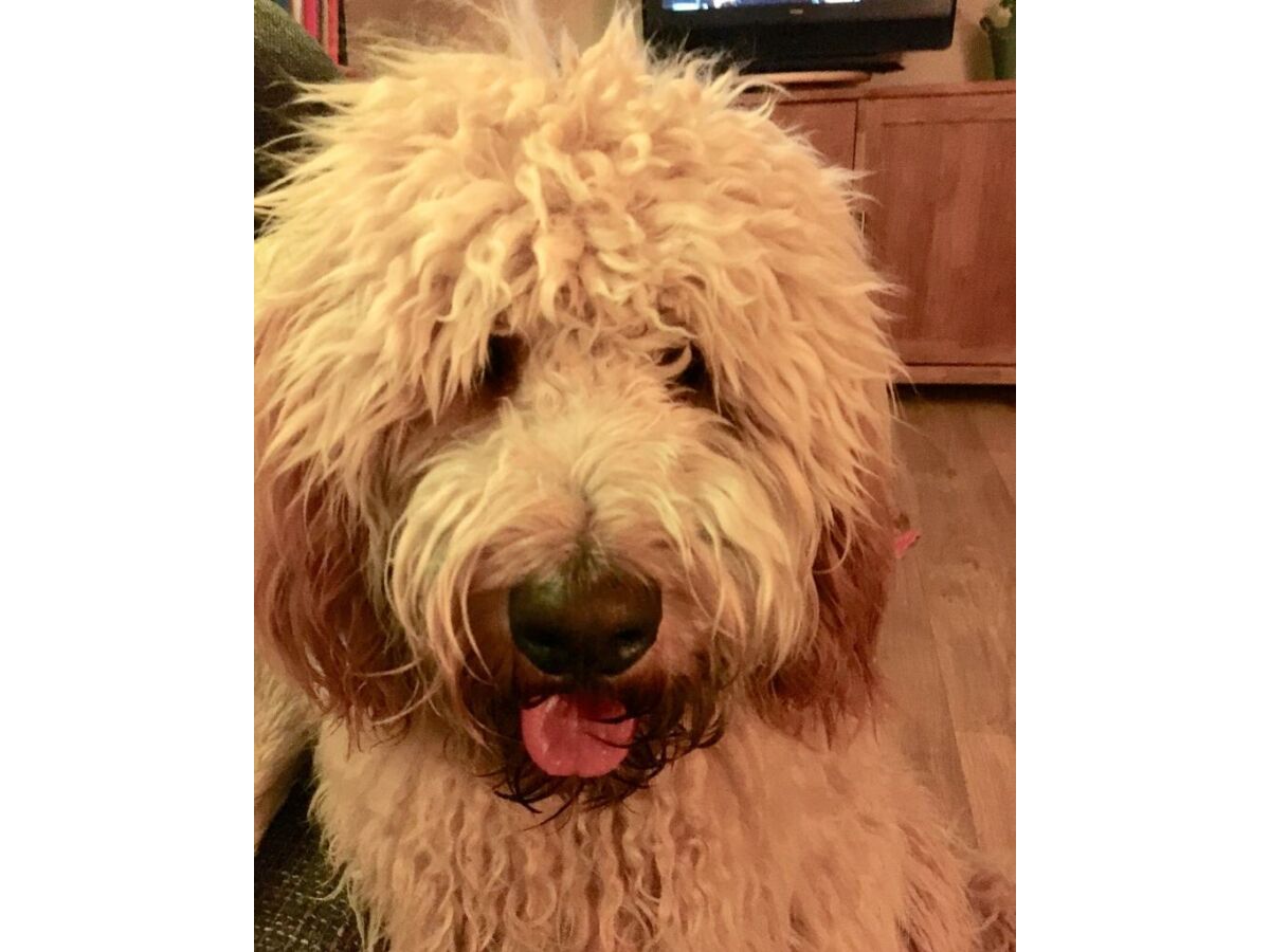 Apartment 2-Bettwohnung - Outdoor photo 5