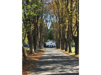 Apartment 2-Bettwohnung - Outdoor photo 2