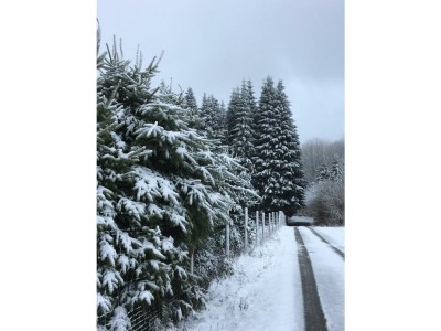 Apartment 2-Bettwohnung - Outdoor photo 4