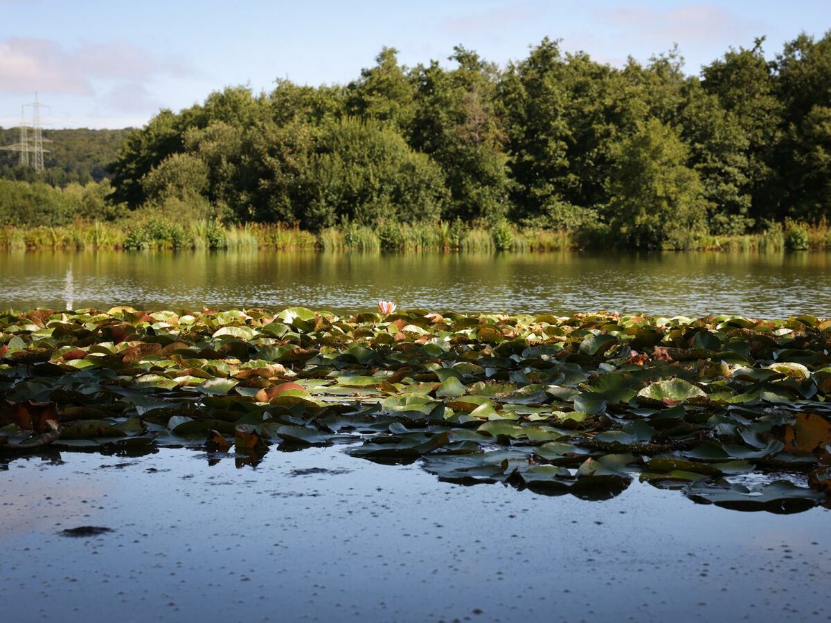 Apartment 5-Bettwohnung - Outdoor photo 3