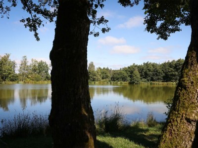 Apartment 5-Bettwohnung - Outdoor photo 5