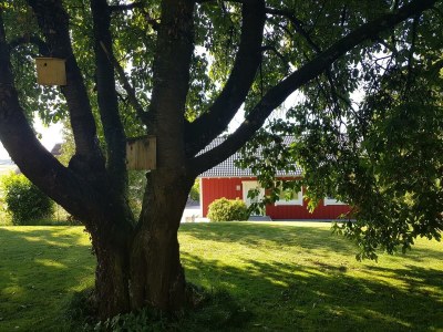 Apartment 4-Bettwohnung - Outdoor photo 6