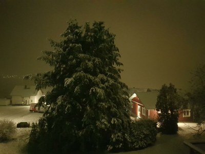 Apartment 4-Bettwohnung - Outdoor photo 37