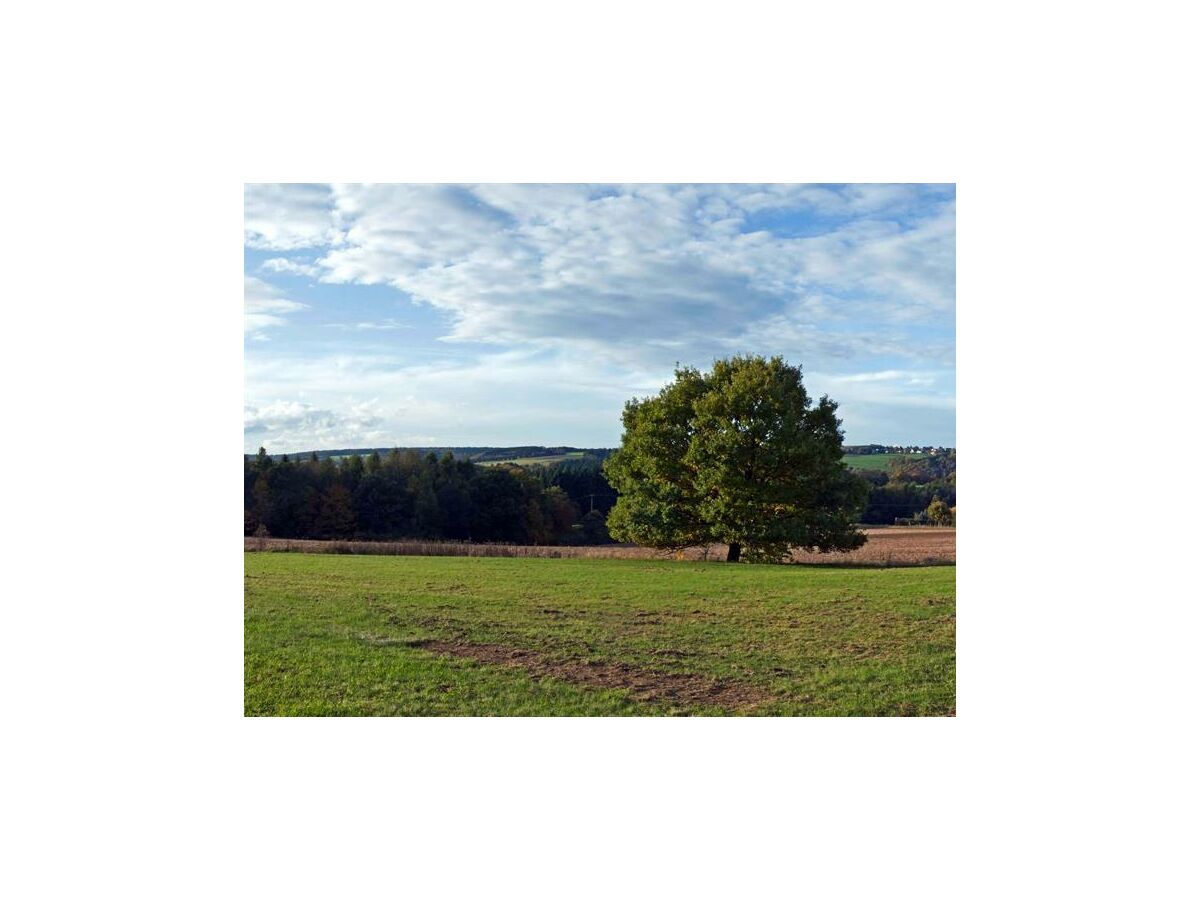 Apartment 4-Bettwohnung