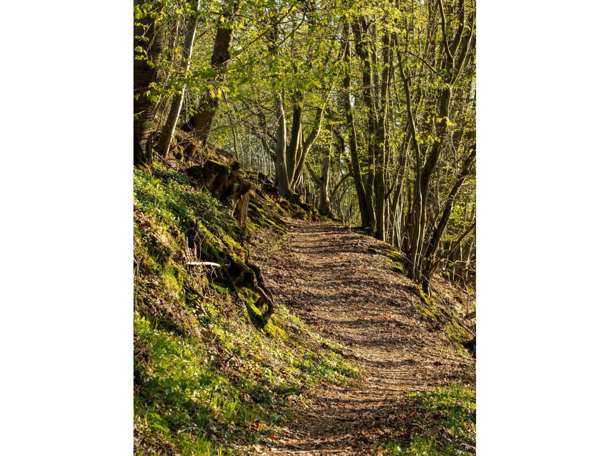 Apartment 4-Bettwohnung - Outdoor photo 5