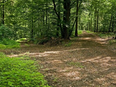 Apartment 4-Bettwohnung - Outdoor photo 3