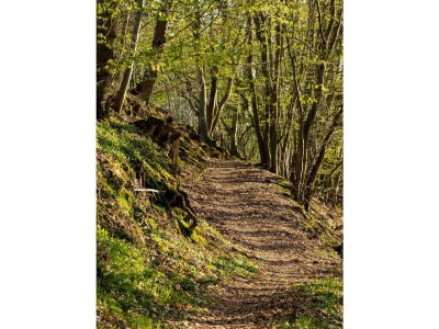 Apartment 4-Bettwohnung - Outdoor photo 5