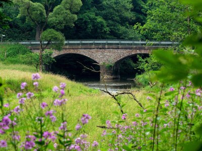 Apartment 4-Bettwohnung - Outdoor photo 6