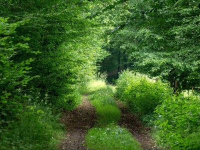 Apartment 4-Bettwohnung - Outdoor photo 7