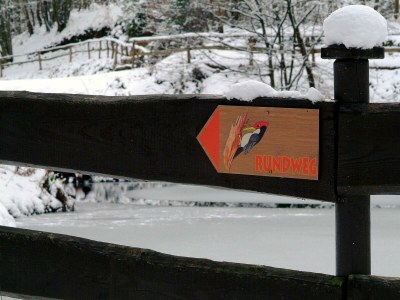 Apartment 4-Bettwohnung - Outdoor photo 8