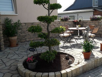 Apartment 5-Bettwohnung in Nisterau - Apartment