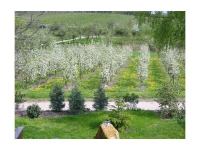 Apartment FEWO mit Terrasse - Outdoor photo 9