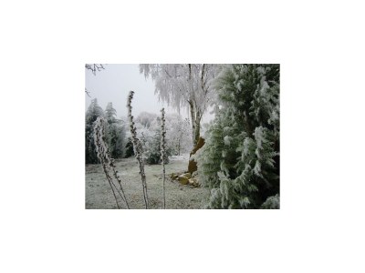 Apartment FEWO mit Terrasse - Outdoor photo 11