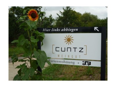 Apartment FEWO mit Terrasse - Outdoor photo 12