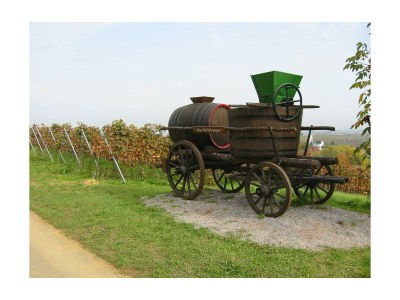 Apartment FEWO mit Terrasse - Outdoor photo 17