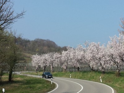 Apartment Appartement/Fewo, Bad, WC, Komfort - Outdoor photo 11