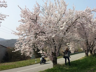 Apartment Appartement/Fewo, Bad, WC, Komfort - Outdoor photo 12