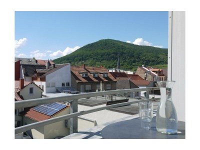 Apartment Fewo, Bad, WC, neuwertig - Features photo 16