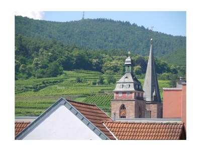 Apartment Fewo, Bad, WC, neuwertig - Features photo 21