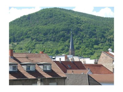 Apartment Fewo, Bad, WC, neuwertig - Features photo 22