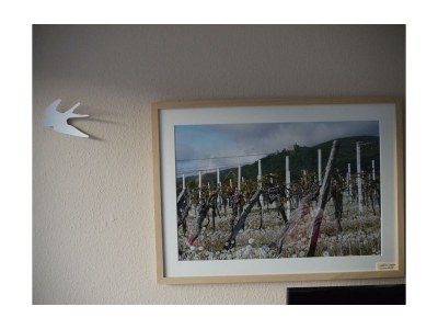 Apartment Fewo, Bad, WC, neuwertig - Features photo 32