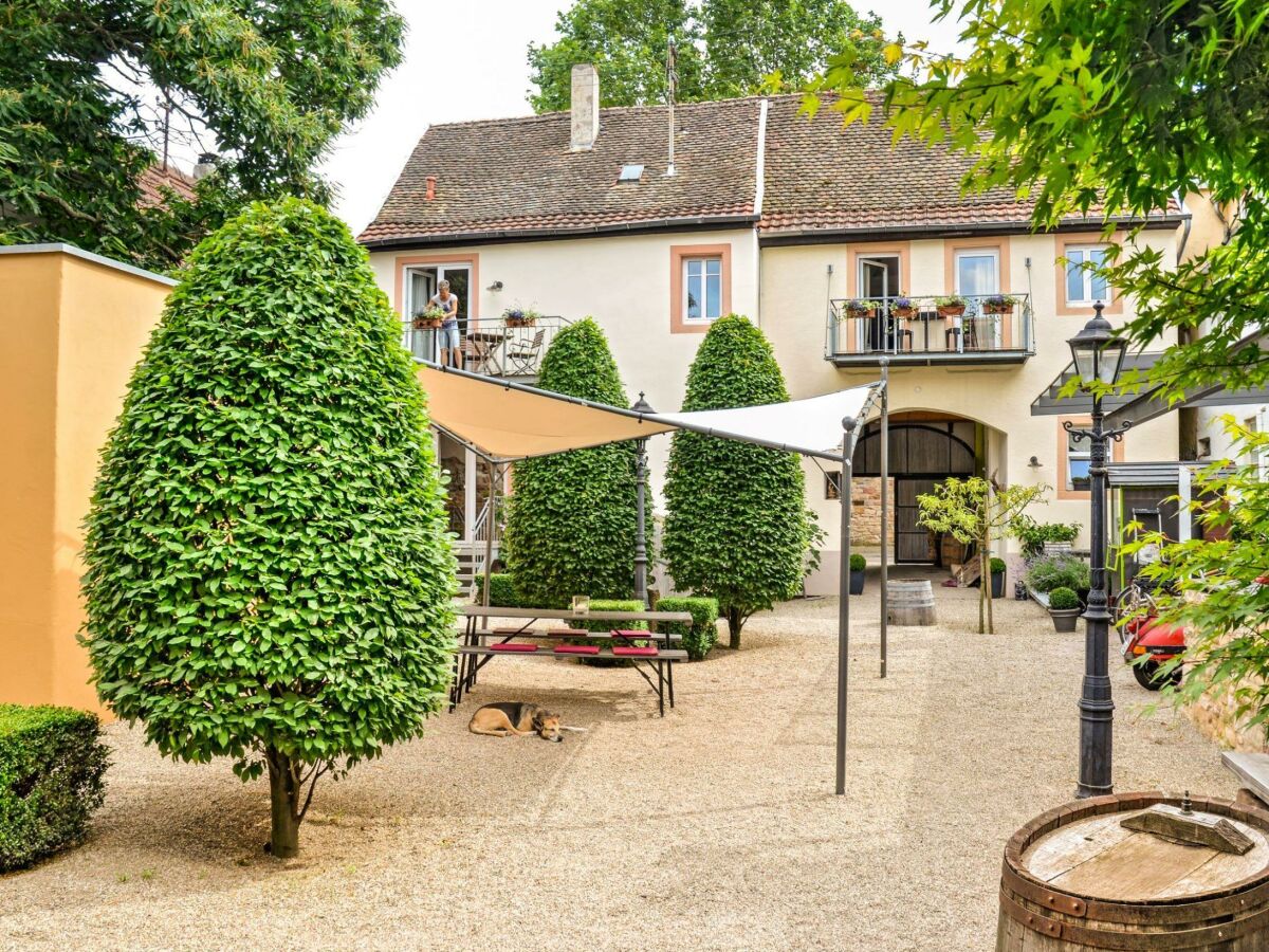 Apartment Fewo Mönchgarten