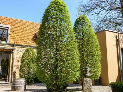 Apartment Fewo Mönchgarten - Outdoor photo 7