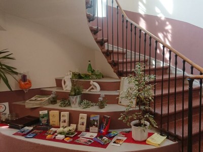 Holiday room Doppelzimmer, Dusche, WC, Nichtraucher - Outdoor photo 59