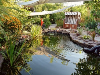 Apartment FEWO Rothhaar - Outdoor photo 5