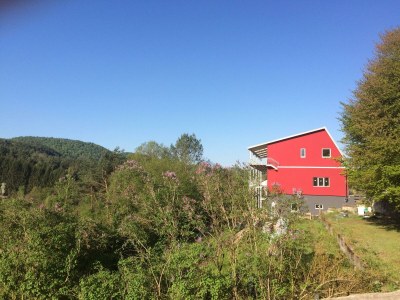 Apartment Appartement/Fewo, Bad, WC, 2 Schlafräume in Dahn - Apartment