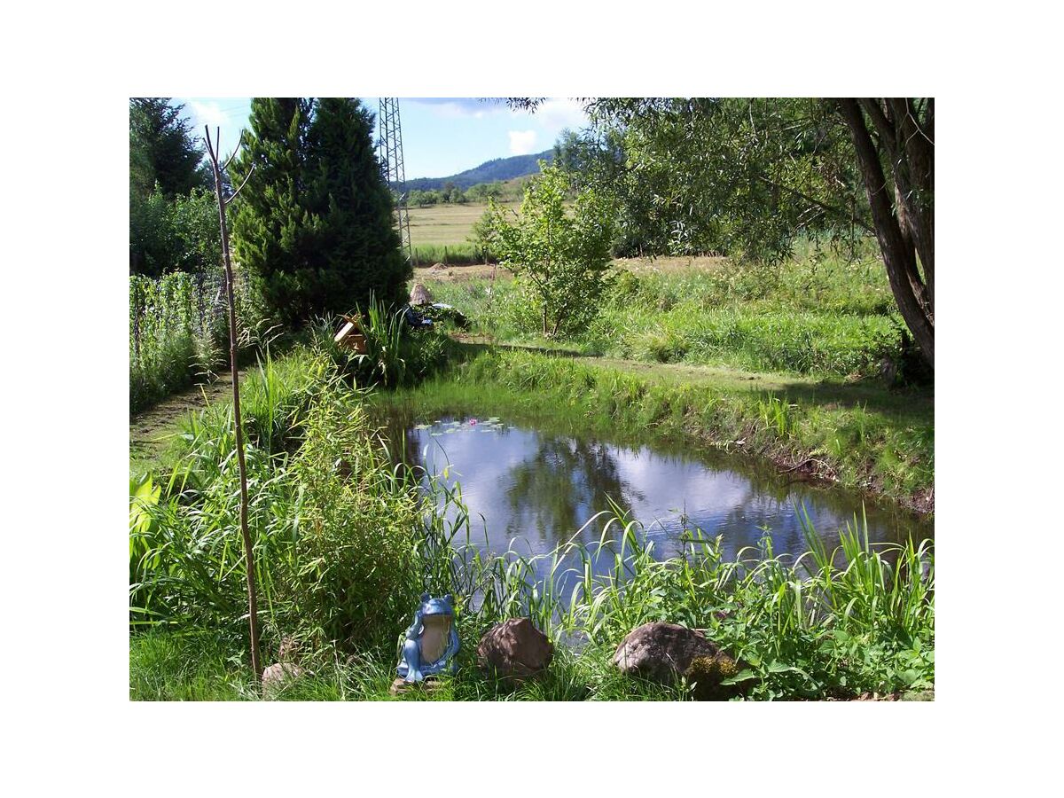 Apartment 2-Bettwohnung Wegelnburg - Outdoor photo 2