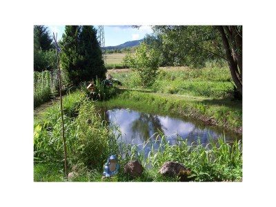 Apartment 2-Bettwohnung Wegelnburg - Outdoor photo 2